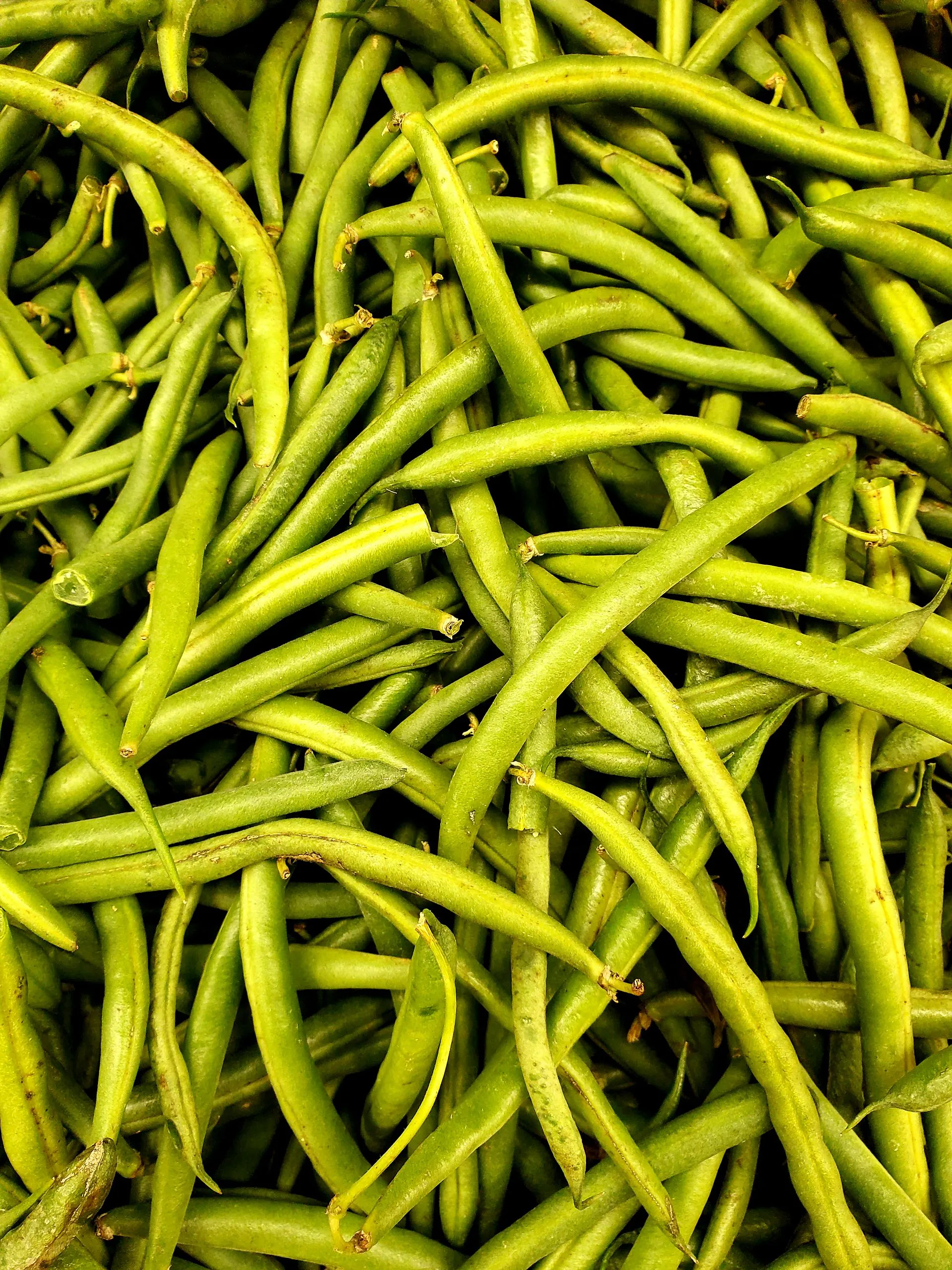 Fermented Green Beans
